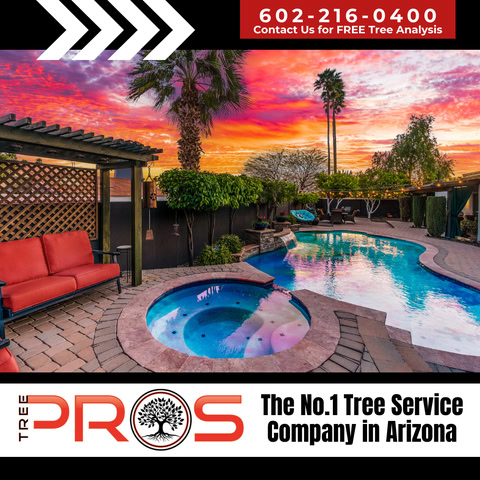 Tree Pros case study hero