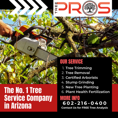 Tree Pros FB Ad V3