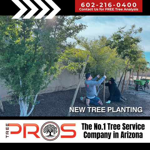 Tree Pros FB Ad V6