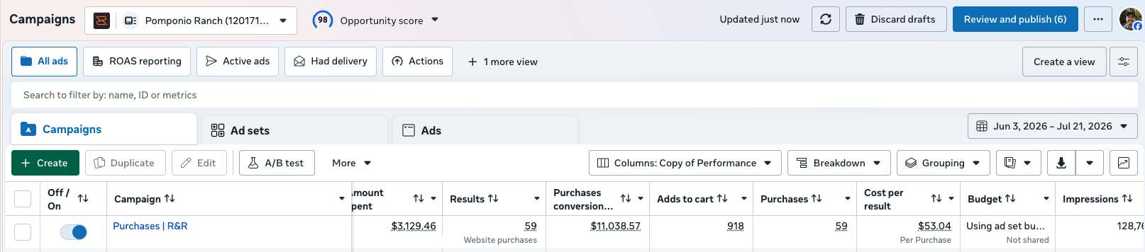 Meta campaign reporting showing 59 purchases and 11,038.57 dollars in purchase value